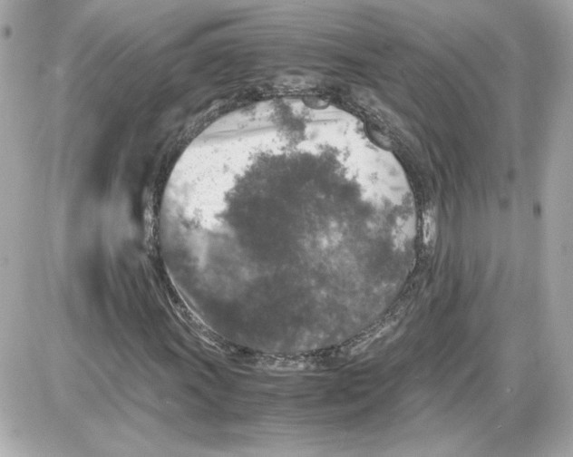 X0000087421011200705111911