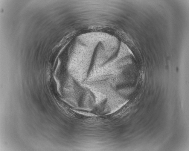 X0000087421012200705111911