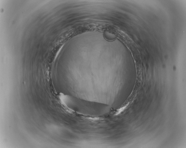 X0000087421013200705111911
