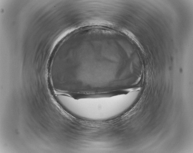 X0000087421024200705111911
