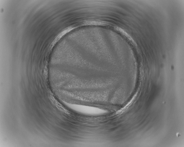 X0000087421025200705111911