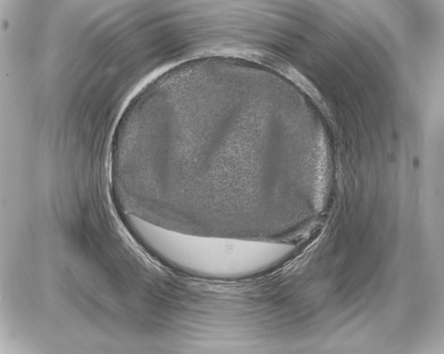 X0000087421028200705111911