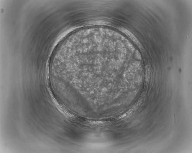 X0000087421031200705111911