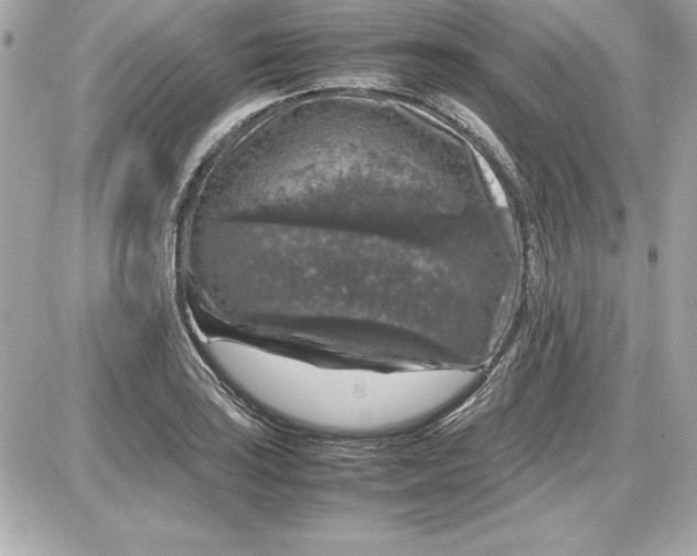 X0000087421035200705111911