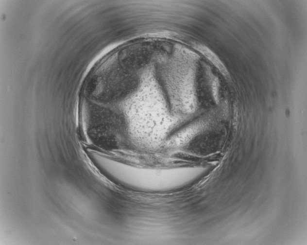 X0000087421036200705111911