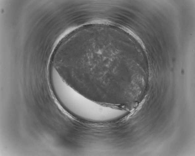X0000087421037200705111911