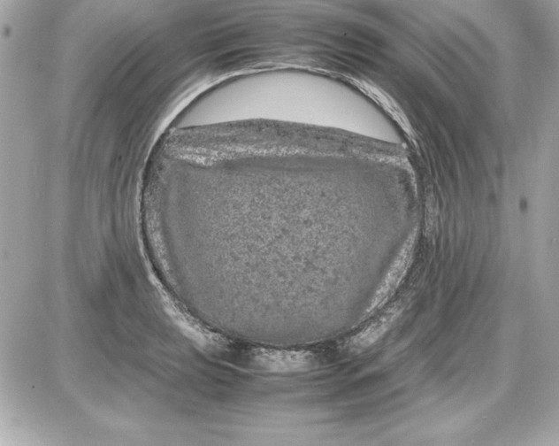 X0000087421039200705111911