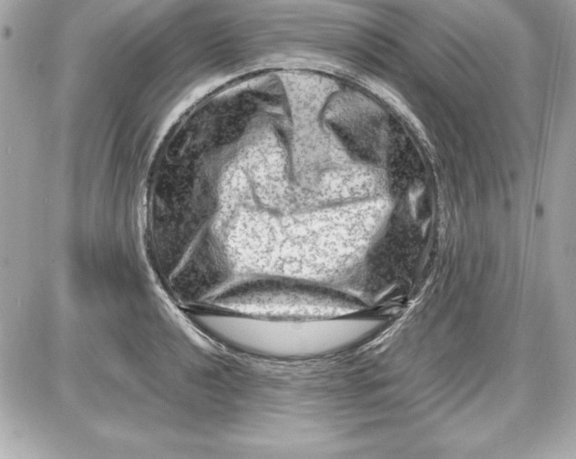 X0000087421040200705111911
