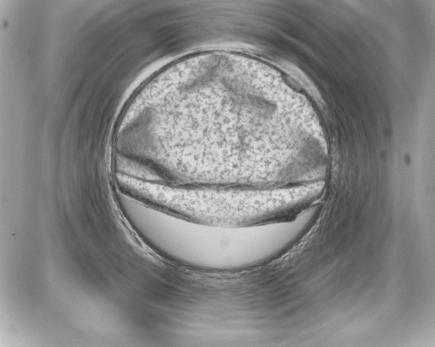 X0000087421044200705111911