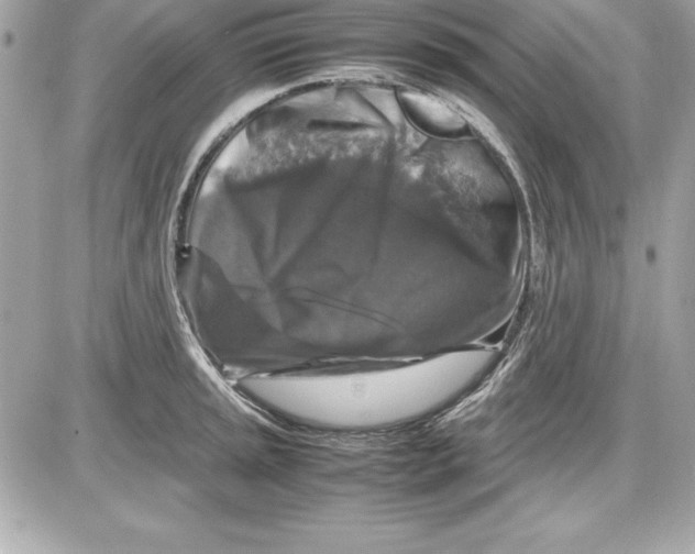 X0000087421045200705111911
