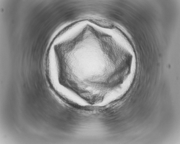 X0000087421056200705111911
