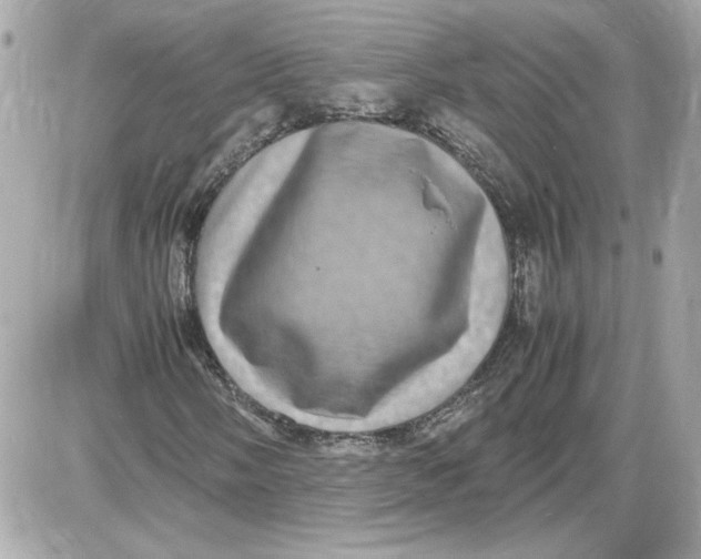 X0000087421058200705111911
