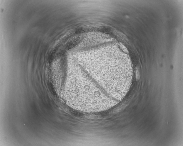 X0000087421059200705111911