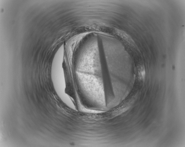 X0000087421060200705111911