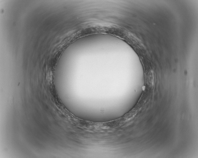 X0000087421061200705111911