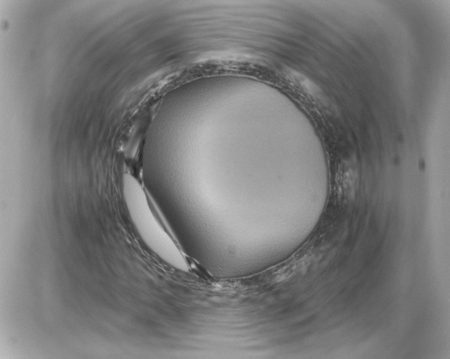 X0000087421062200705111910