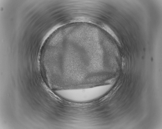 X0000087421068200705111910