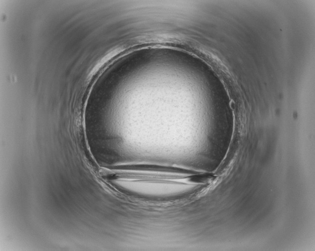 X0000087421073200705111910