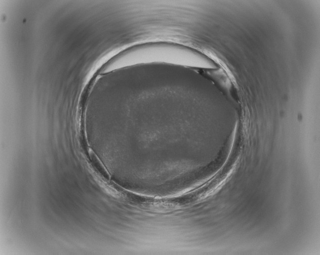 X0000087421077200705111910