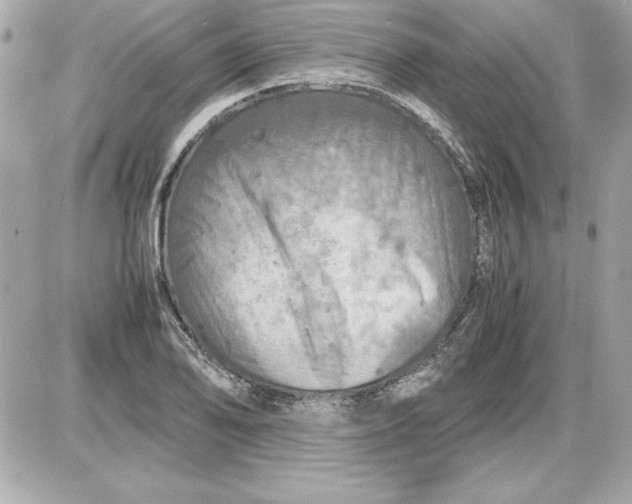 X0000087421078200705111910
