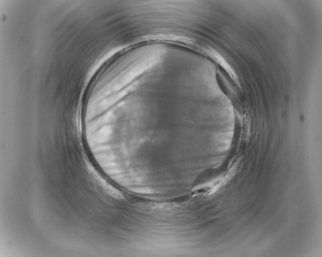 X0000087421084200705111910