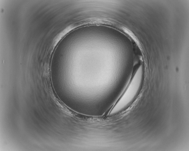 X0000087421089200705111910
