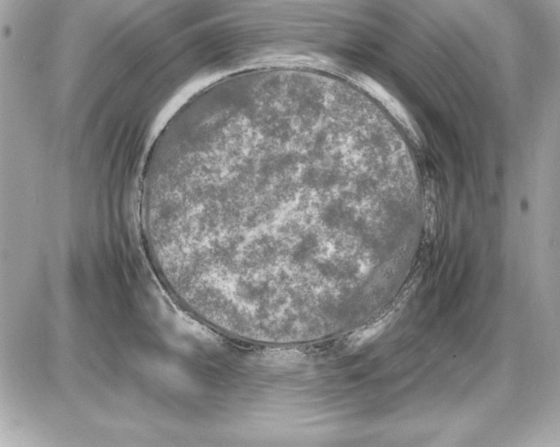 X0000087421094200705111910