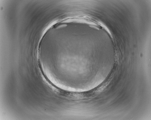 X0000087421095200705111910