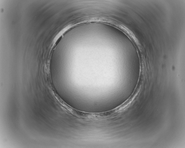 X0000087421097200705111910