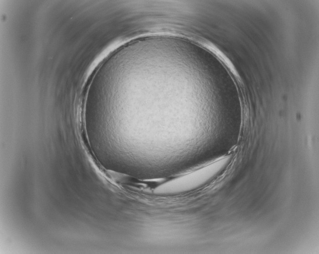 X0000087421101200705111910