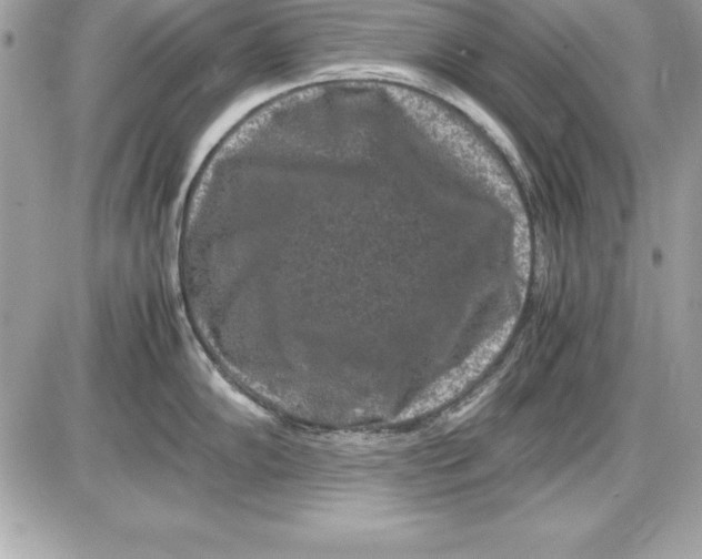 X0000087421102200705111910