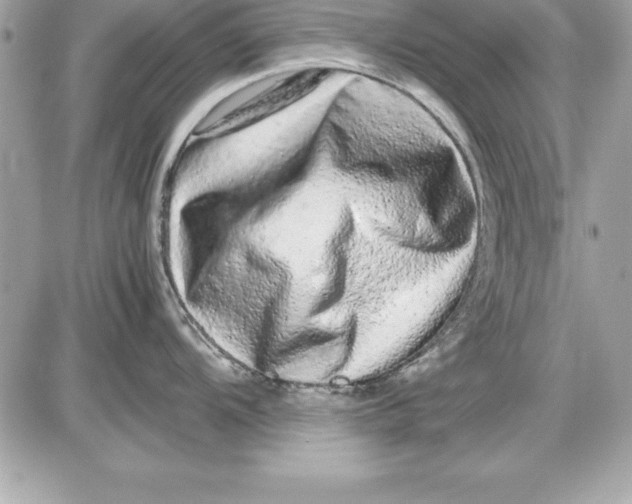 X0000087421104200705111910