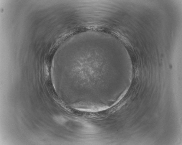 X0000087421106200705111909