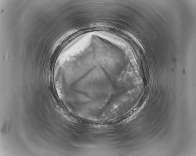 X0000087421117200705111909