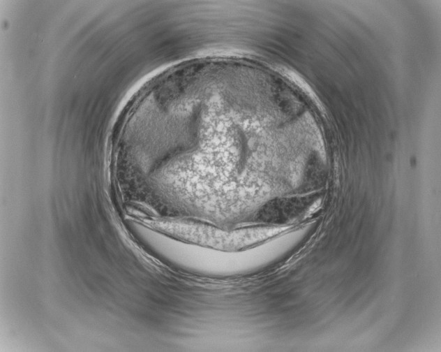 X0000087421124200705111909