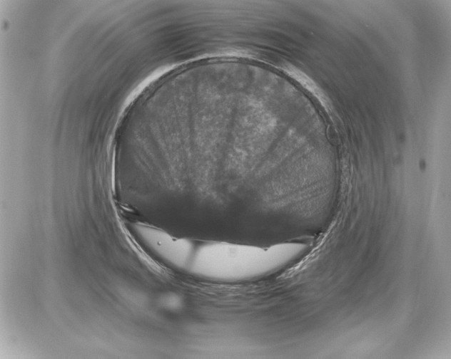 X0000087421127200705111909