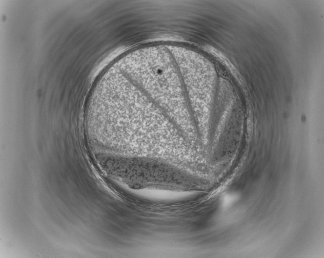 X0000087421129200705111909