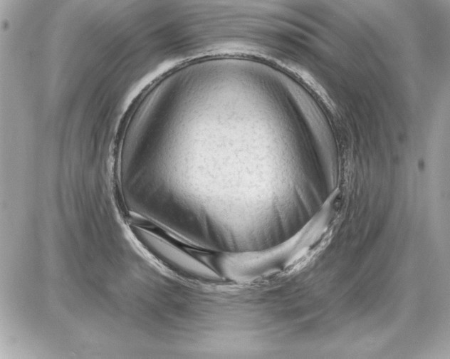 X0000087421134200705111909