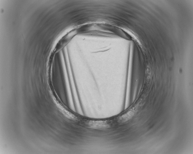 X0000087421135200705111910