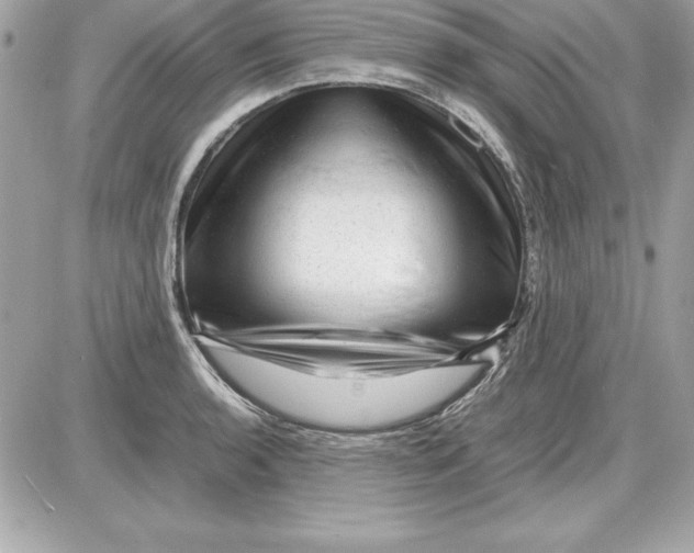 X0000087421136200705111910