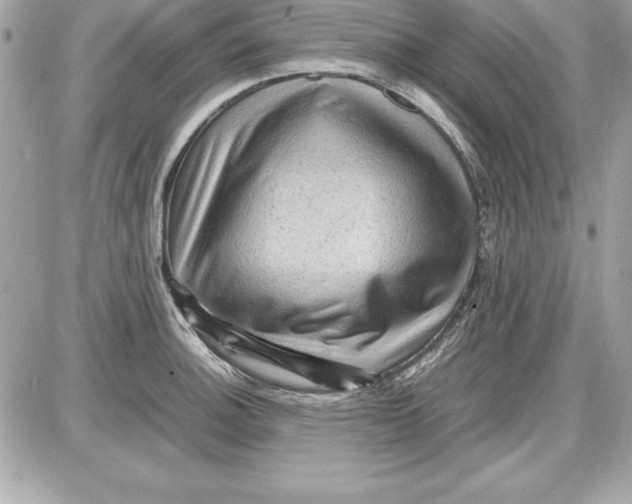 X0000087421140200705111910