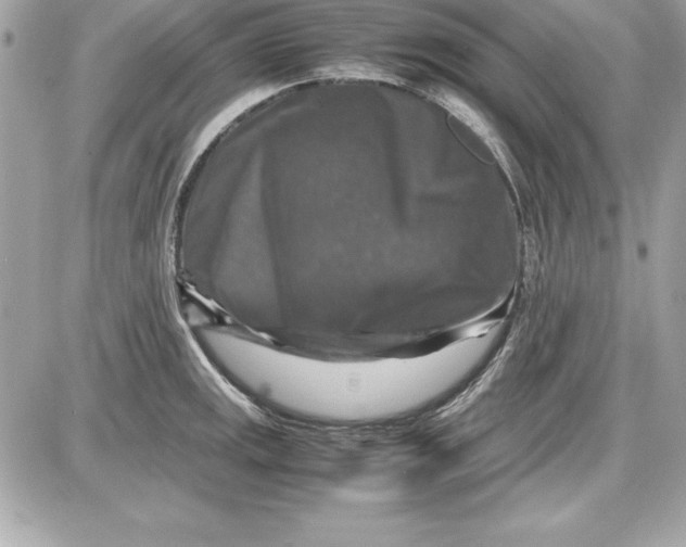 X0000087421141200705111910