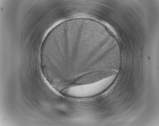X0000087421142200705111910