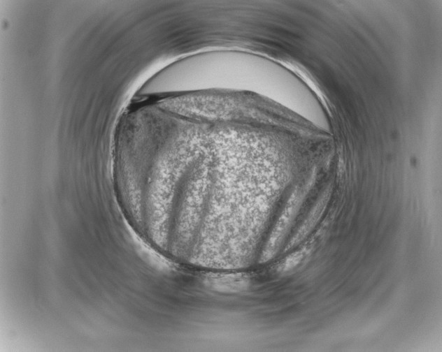 X0000087421143200705111910