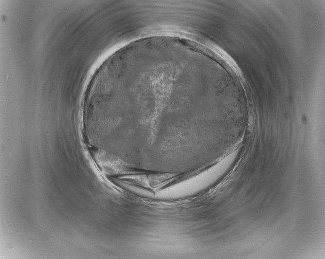 X0000087421144200705111910