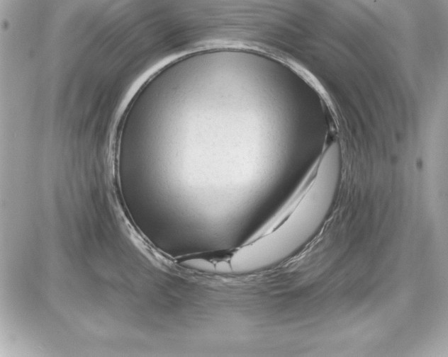 X0000087421148200705111910