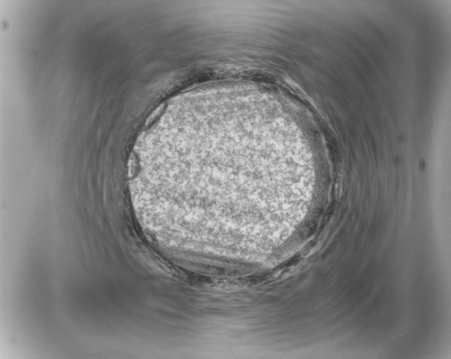 X0000087421153200705111909