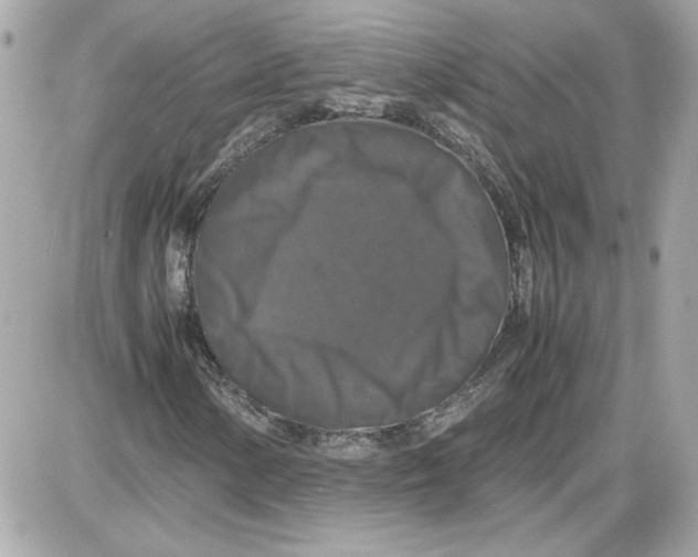 X0000087421154200705111909