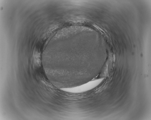 X0000087421156200705111909