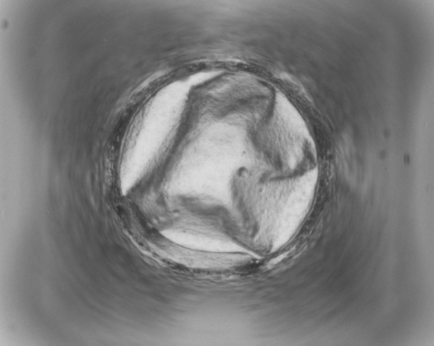 X0000087421159200705111909